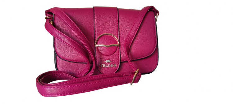 BORSETTA POCHETTE ELEGANTE CASUAL PER DONNA CHARRO - Clicca l'immagine per chiudere